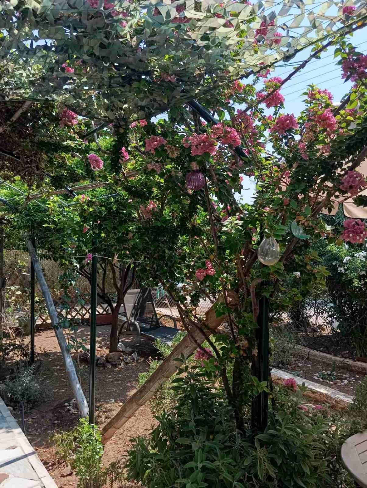 Holiday home εξοχικό Roxani