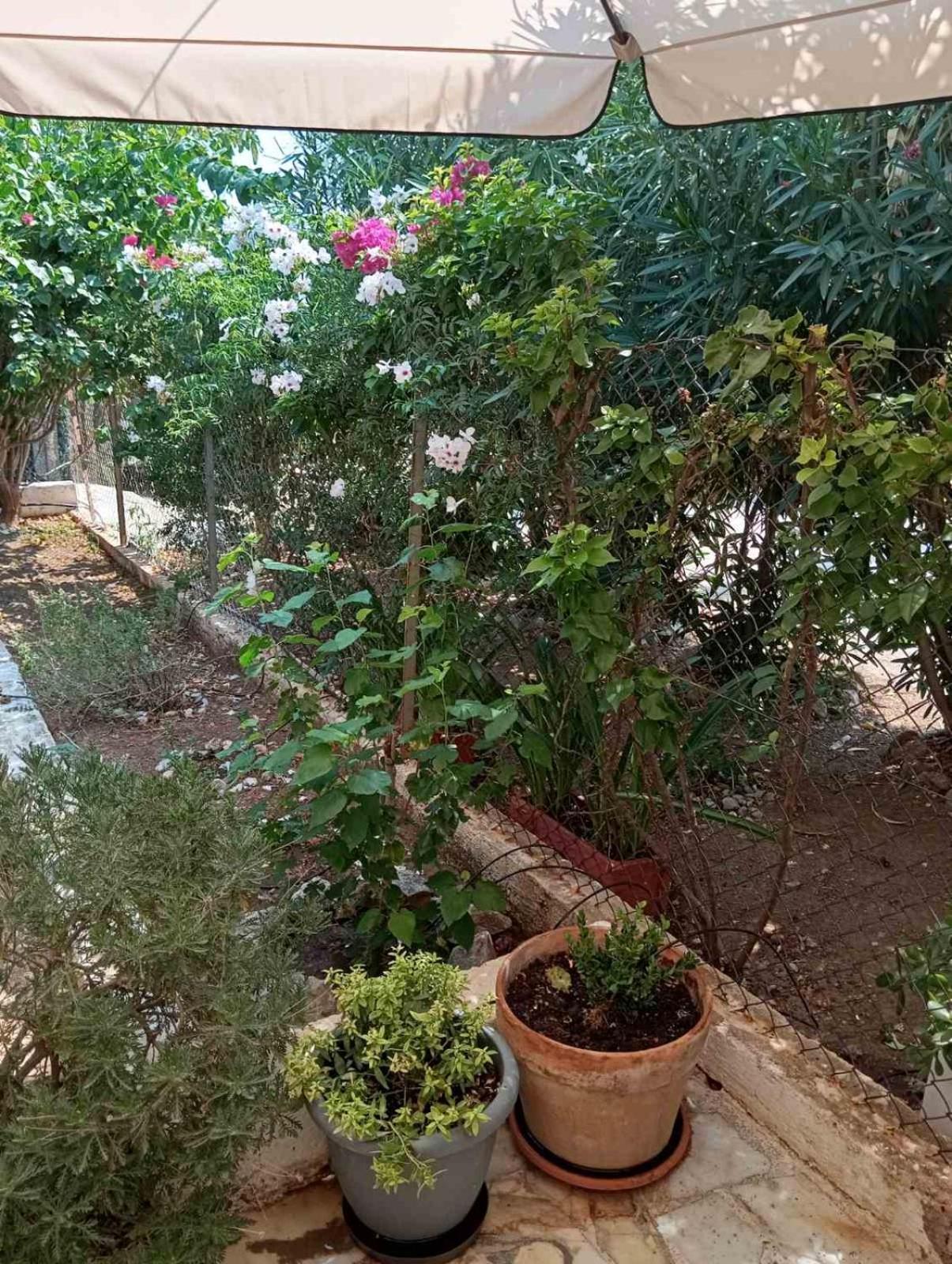 εξοχικό Roxani *